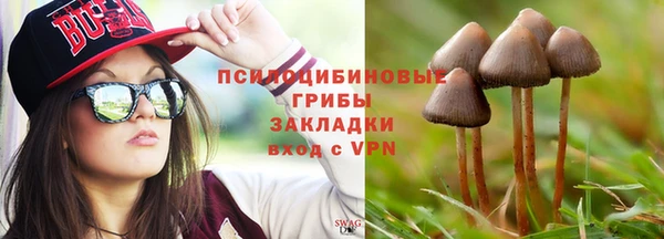 бошки Алексеевка