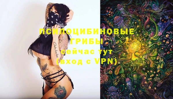 бошки Алексеевка