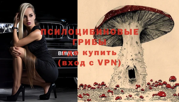 шишки Алзамай