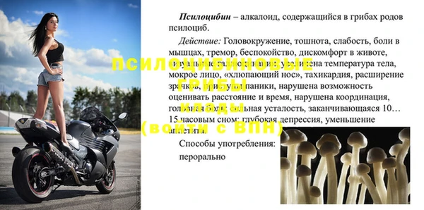шишки Алзамай