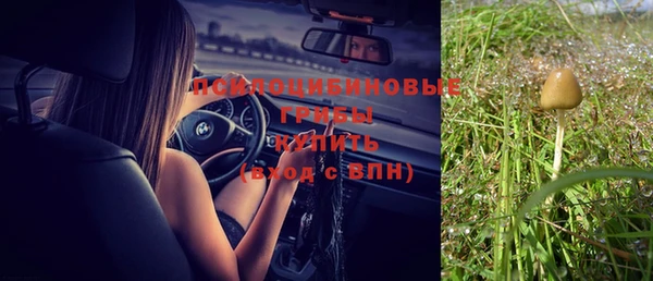 шишки Алзамай