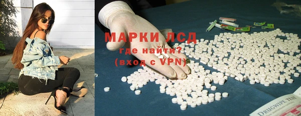 шишки Алзамай