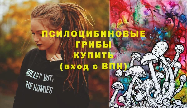 бошки Алексеевка