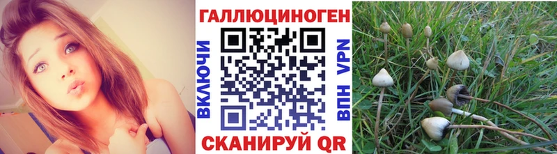 Галлюциногенные грибы Magic Shrooms mega ONION Саки